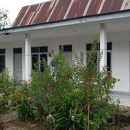 Hidayah Homestay Vulkan Vulkan Kelimutu Exterior foto